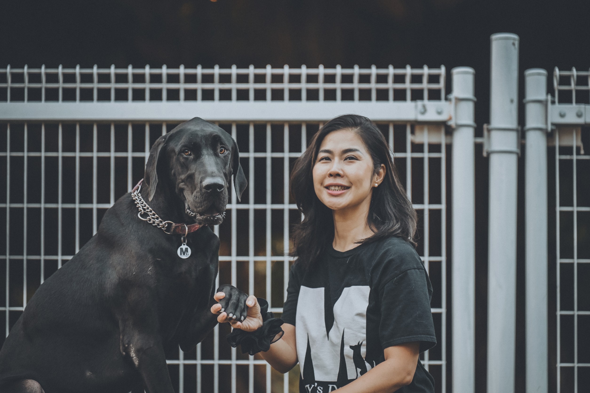社團法人台灣瑪莉愛狗協會-募款活動