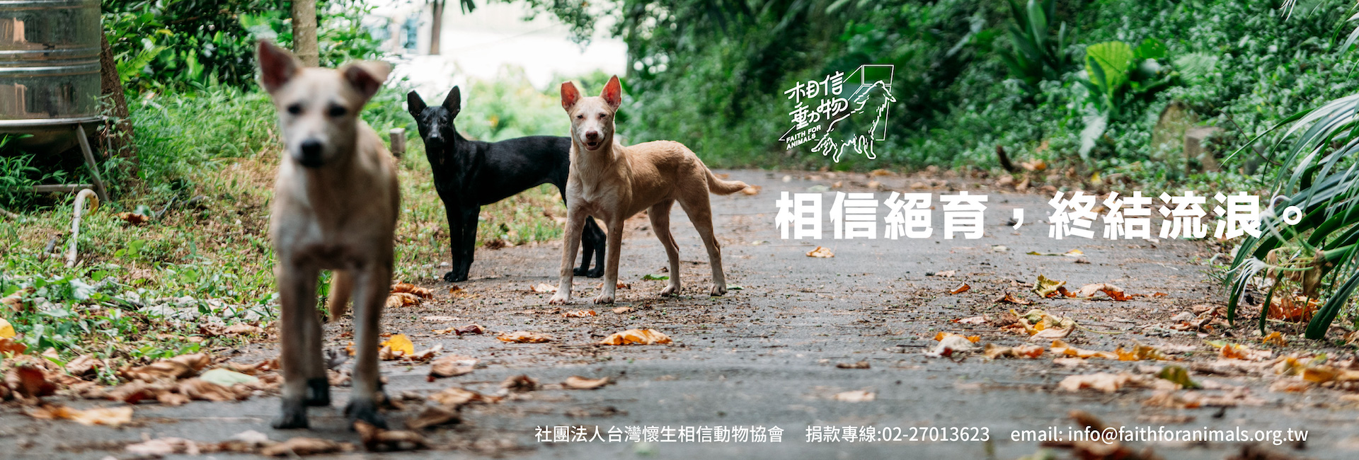 社團法人台灣懷生相信動物協會-募款活動